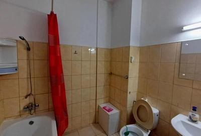 Apartament deosebit 2 camere GRANIT--450 EURO - 8
