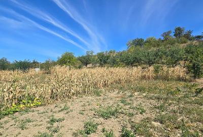 Teren intravilan in Manolesti Deal - 2