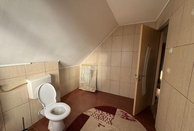 Individuala P+M Becicherecu Mic,4 Camere,Piscina exterioara,Teren Generos - 25