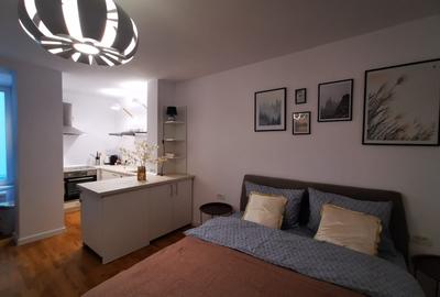 Apartament 1 camera Bulevardul Take Ionescu / Medicina ! - 7