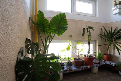 2 camere, 40,5 mp + balcon, mobilat-utilat,  Săcele – Electroprecizia - 11