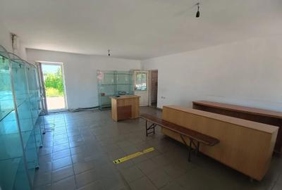Spațiu comercial, 100 mp în Lilieci