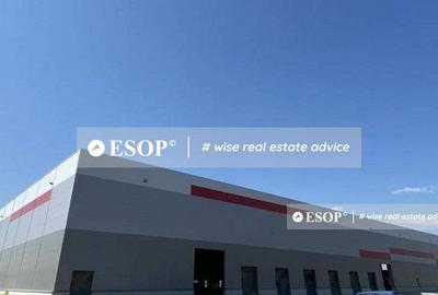 Constanta Business Park, spatii Depozitare/productie, 5.000-80.000mp - 4