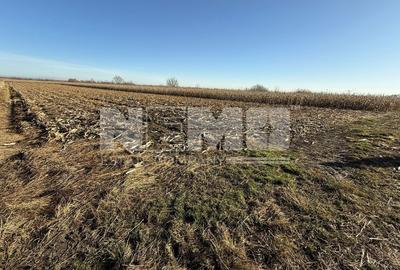 TEREN EXTRAVILAN  51 ARI |  HORODNIC DE JOS  | - 1