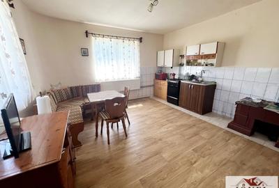 Vanzare casa in Ampoita -1300 mp teren - 4