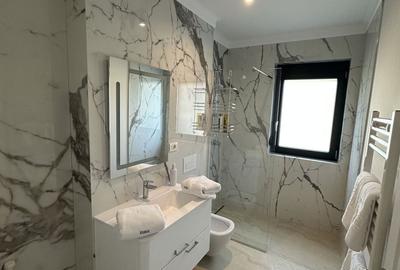 Apartment deosebit cu curte proprie si loc de parcare - 10