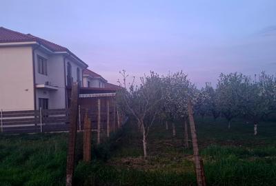 Teren Construcții intravilan de 2500 mp, în Lazu