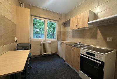 Inchiriere Apartament cu 2 camere Tatarasi - 4
