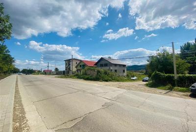 Teren 1399mp pentru hala, PUZ industrial, Dancu - 5