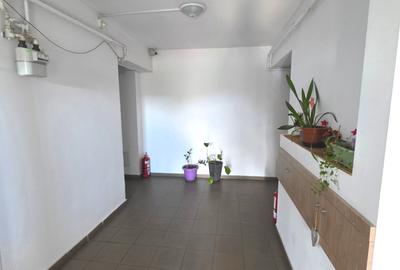 2 camere Aleea Mizil bloc 2017 etaj 2/3 centrala proprie si loc parcare - 38
