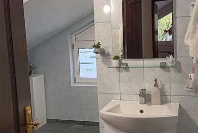 Barnova intersectia cu Pietrarie VILA D+P+M SU=212mp TEREN 1670mp amenajat super - 14