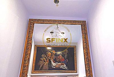 Vanzare zona Armeneasca,Casa eclectica sec XX,curte individuala,3 niveluri 295mp - 7