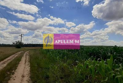 Teren 715mp în Snagov lângă Equestria - 4