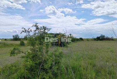 Teren extravilan, 114000 mp, Parc industrial West Park - 18