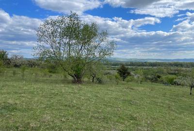 Teren agricol extravilan de 6864 mp, în Groși