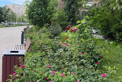 📍 Apartament 2 camere decomandat STRADAL – ideal locuință sau spațiu comercial - 12