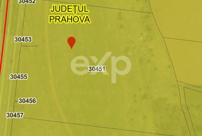 Teren DN1 Băicoi 18.557 mp – dublu acces, ideal dezvoltare - 3
