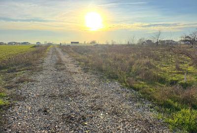 Teren Intravilan In Rate Stadion Berceni  | utilitati la strada #CG1R - 6