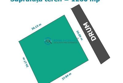 Royal Imobiliare - Vanzare teren intravilan comuna Tomsani - 1