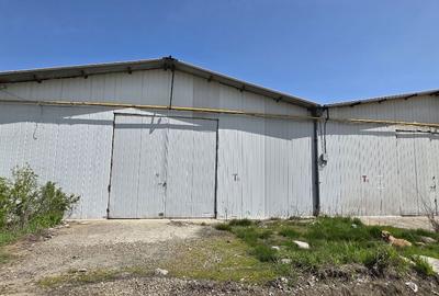 Popesti Centura spatiu depozitare 450 -2000 mp - 1