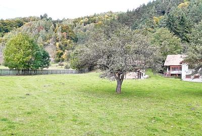 Teren superb de 16240mp, parcelabil, in Bran la intrare in Moeciu de Jos - 12