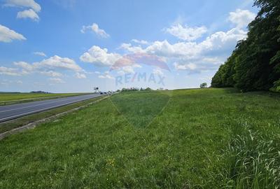 Teren Ilisesti  7000mp extravilan/ DN 17, Suceava - 1