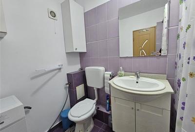 Brancoveanu-Izvorul Oltului, apartament mobilat si utilat modern, bloc reabilita - 25