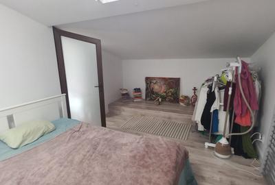 Apartament 2 camere Calea Calarasilor cu gradina - 21