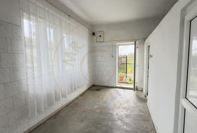 Casa 7 camere cu Teren 4.620 mp | Potential pentru rezidenta sau afacere | Carei - 19