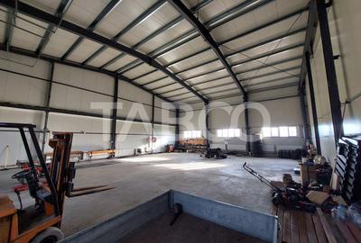 Hala industriala de vanzare cu teren de 12000 mp Bradu Sibiu - 3