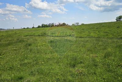 Teren Ilisesti  7000mp extravilan/ DN 17, Suceava - 22