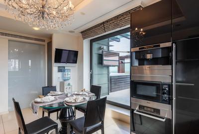 PENTHOUSE CU VEDERE PANORAMICA 258mp|| TERASE 215 MP || 3 LOCURI DE PARCARE - 16