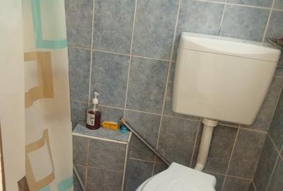 Apartament 1 camera, Iosia, Str. Poienitei - 4
