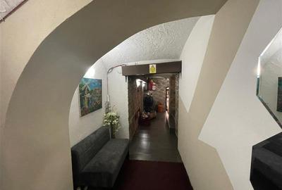 De vanzare spatiu comercial zona ultra centrala 277 mp - 15