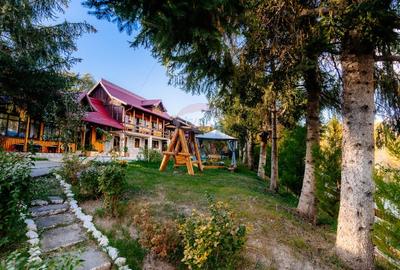 Vanzare pensiune renovata 2025 - 6 camere, Corbsori (Poenari) - 1