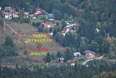 TEREN PENTRU DEZVOLTARE SINAIA-CUMPATU Str. Zamora-9.801 mp-Comision 0% - 21