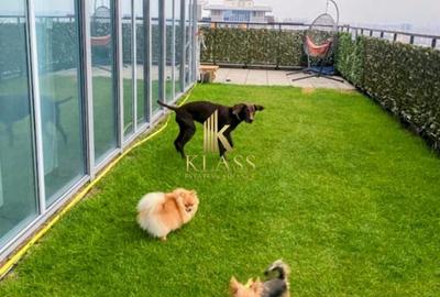 Penthouse spectaculos cu terasa, sala, sauna in interior - 1