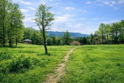 3.000mp de incantare montana cu cabana din lemn masiv, Zarnesti Tohanita - 2