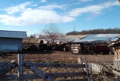 OPORTUNITATE! FERMA FUNCTIONALA, CASA RENOVATA SI TEREN 5HA - 18