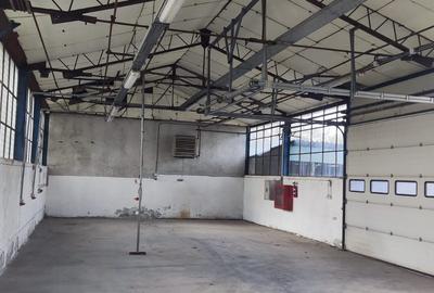 Hale + platforma betonata mp Giurgiului ( Zetari ) - 4