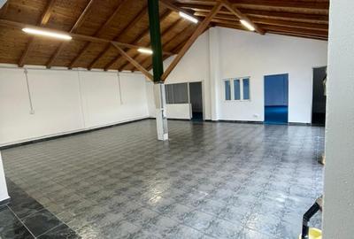 Spațiu industrial, 290 mp în Schineni (Săucești)