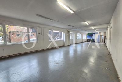 AX1157 Spatiu Industrial, B-dul 16 Decembrie, Activitati Productie - 1