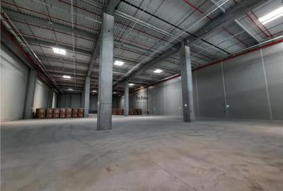 Spatii Industriale - 8000 mp - Logistica - Productie - Depozitare - 4