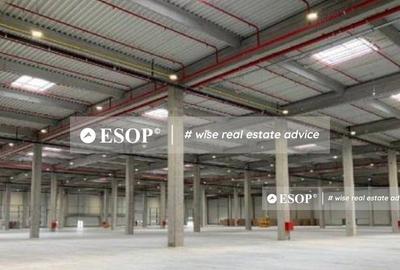 Timisoara Industrial Park, spatii industriale, 3.000 - 46.000mp - 3