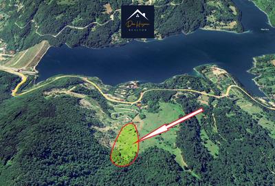 SIRIU - Oportunitate de investitie | Teren cu PUZ | Intre Lac si Padure - 11