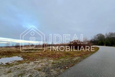 Teren extravilan 6.500 mp – Cârțișoara | Comision 0% - 3