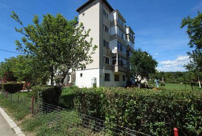 Apartament 3 camere zona linistita - 20