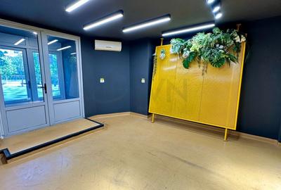 REC3000001 Spatiu comercial Decebal 95mp - 4