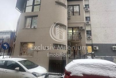 Victoriei Birouri /Vila Pasaj Basarab - Nicolae Titulescu Banu Manta - 12
