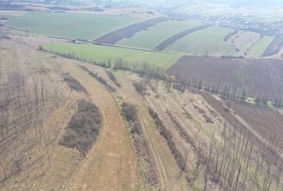 Teren intravilan in Ciugud - 1